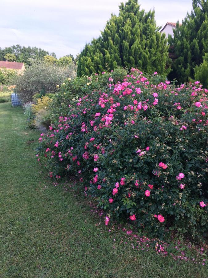 Chambre D'Hotes Le Clos De Rapevache Εξωτερικό φωτογραφία